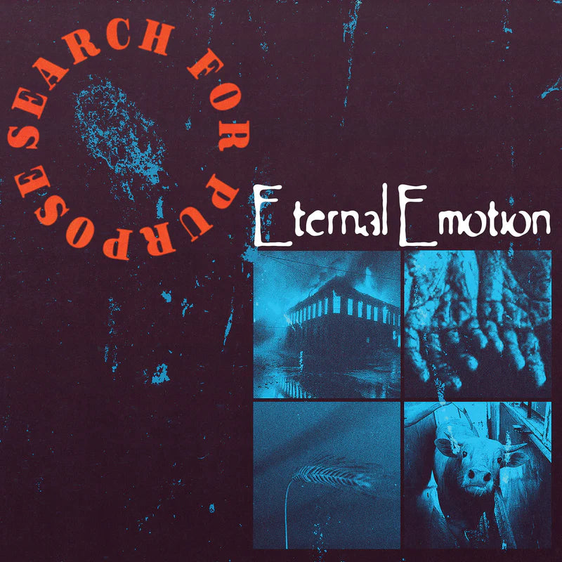 Search for Purpose - "Eternal Emotion"