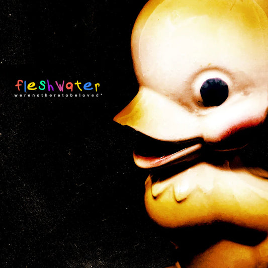 Fleshwater - 'We're Not Here To Be Loved'