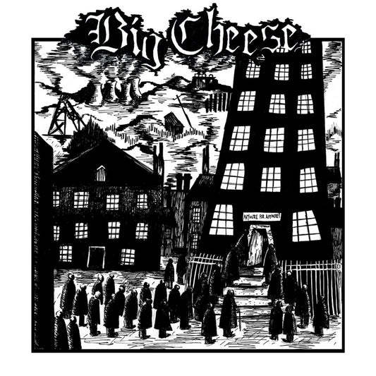 Big Cheese - 'Anymore For Anyone'