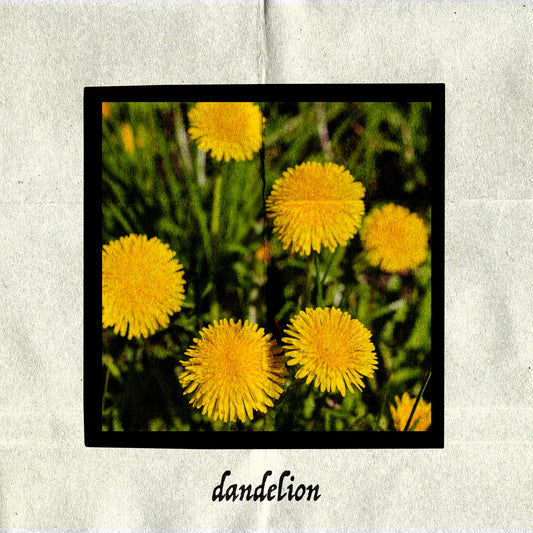 Dandelion - 'S/T' (Northern Scene Exclusive)